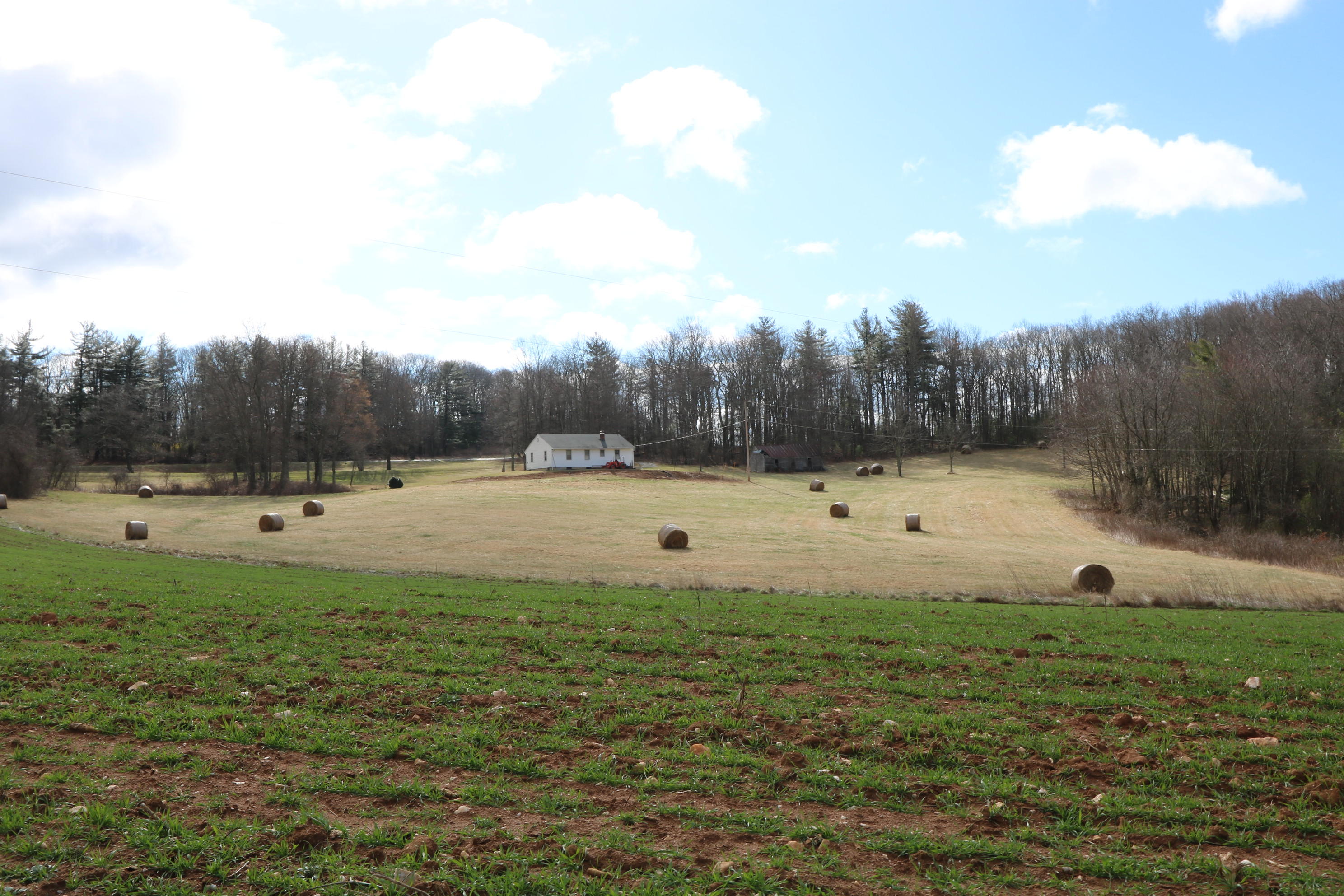 1058 Silverleaf Road Southeast Floyd, VA 24091 - Photo 51 of 55 a view of a green field