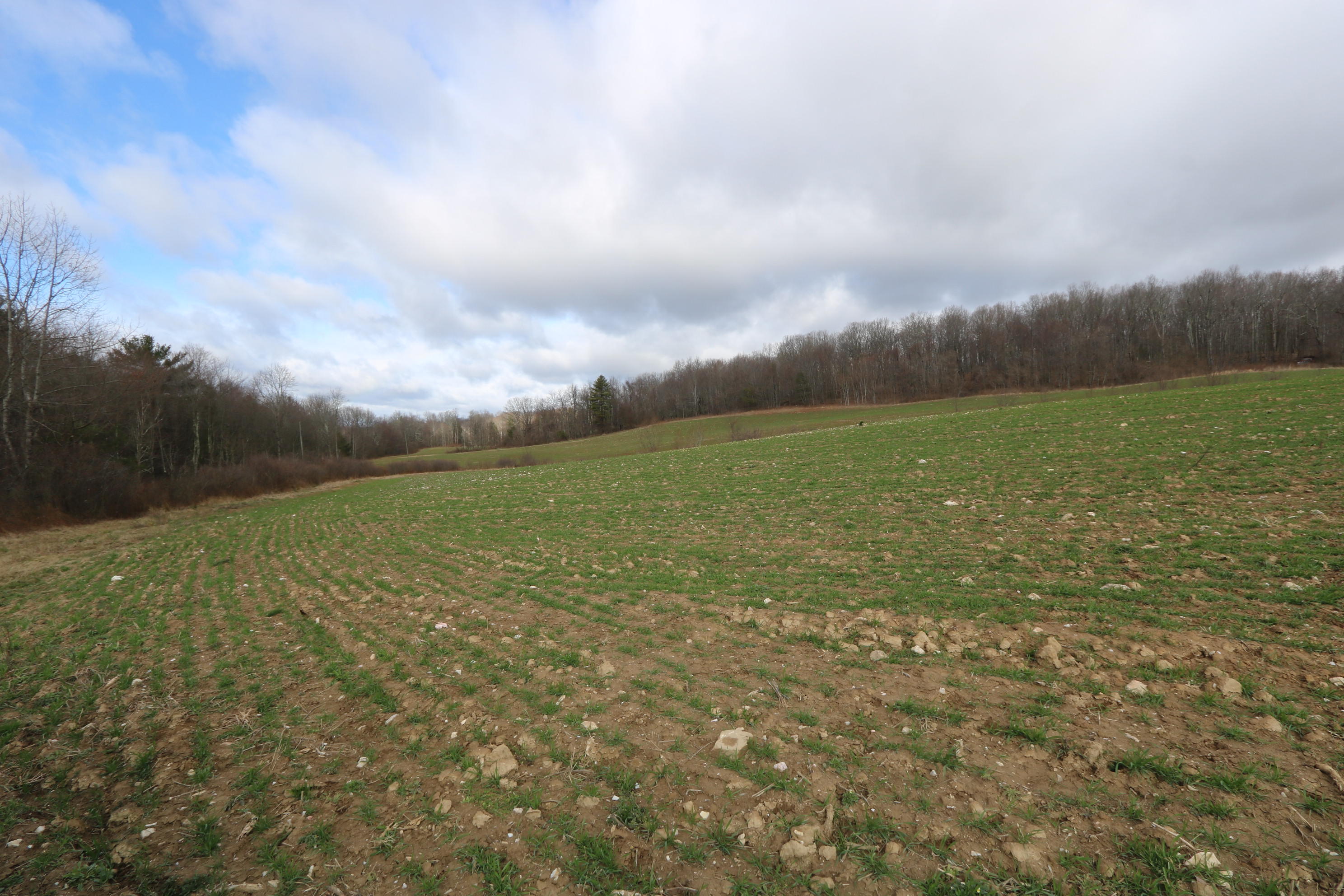 1058 Silverleaf Road Southeast Floyd, VA 24091 - Photo 53 of 55 a view of an ocean