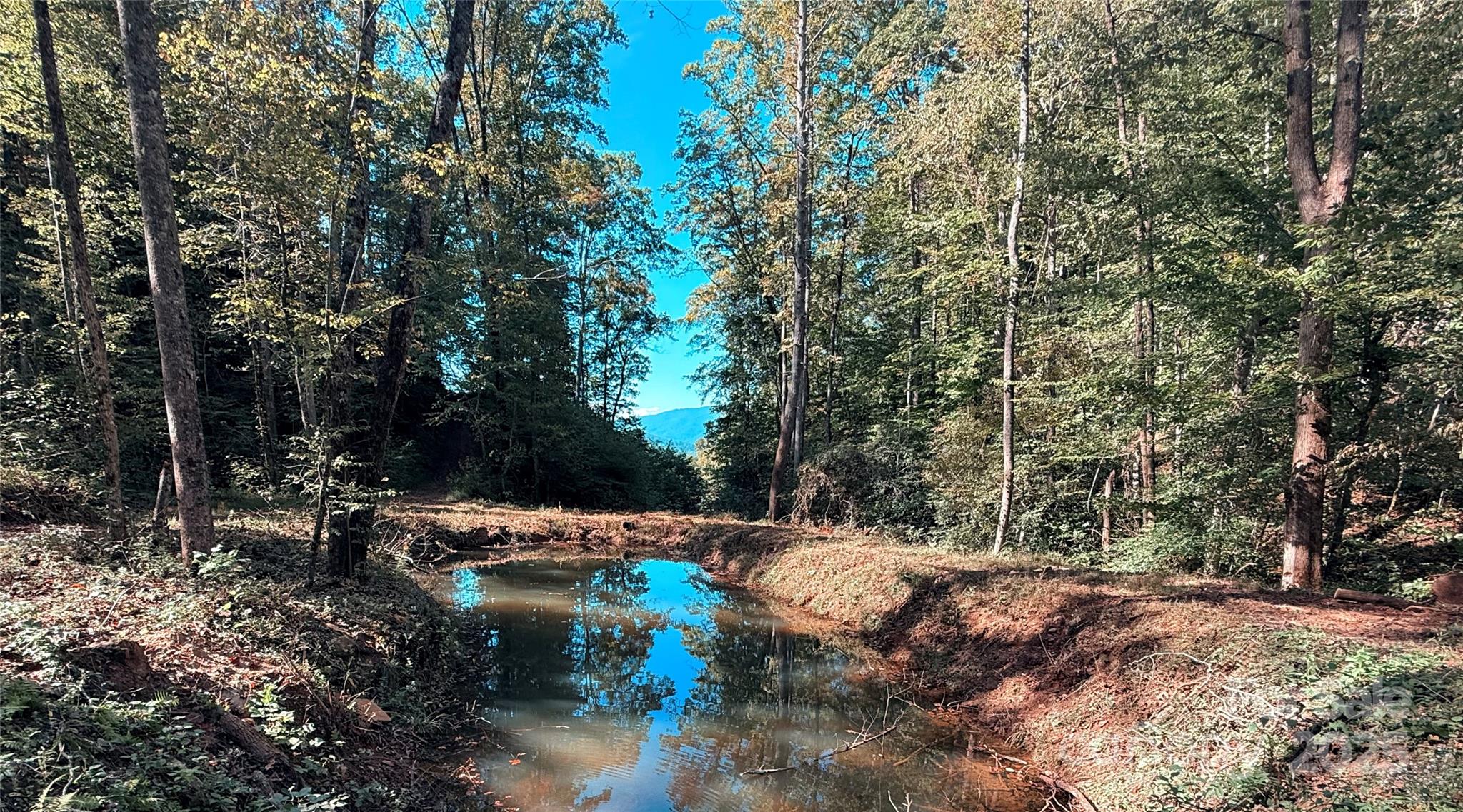 0 The Fls Road Union Mills, NC 28167 - Photo 9 of 27