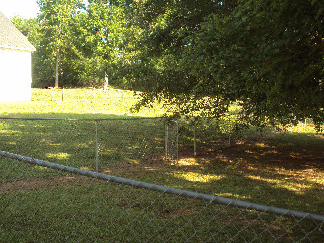 155 Girl Scout Road Lizella, GA 31052 - Photo 33 of 36 a view of a trees with a yard