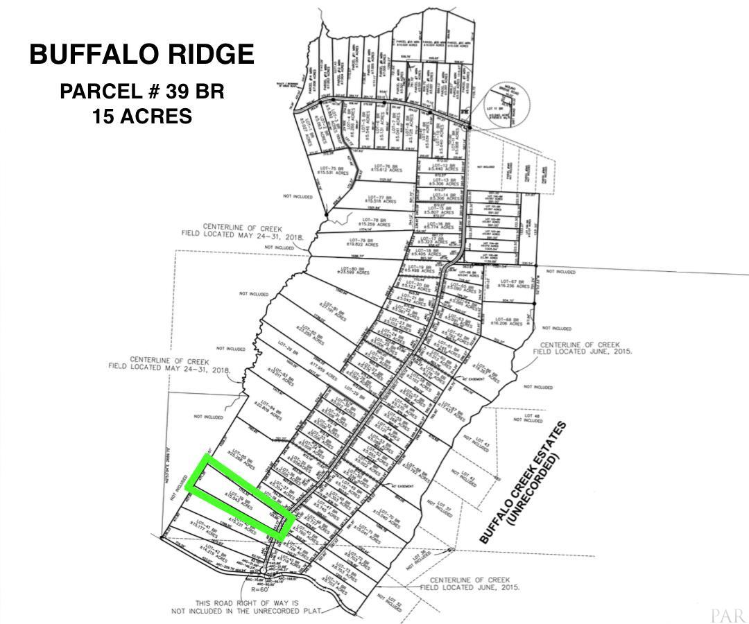Lot 39-br Buffalo Ridge Road Pace, FL 32571 - Photo 3 of 9
