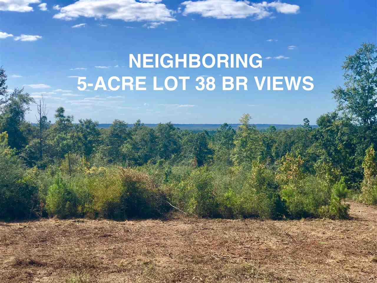 Lot 39-br Buffalo Ridge Road Pace, FL 32571 - Photo 4 of 9