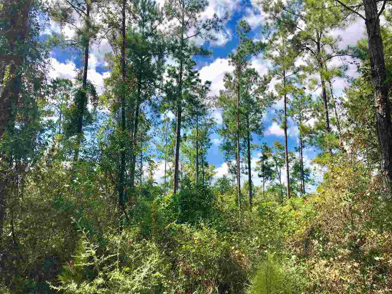 Lot 39-br Buffalo Ridge Road Pace, FL 32571 - Photo 5 of 9