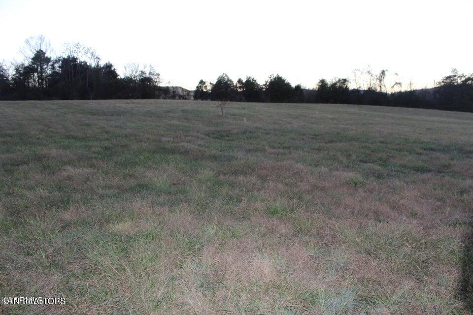 1517 Towe String Road Jacksboro, TN 37757 - Photo 1 of 4 patty 4
