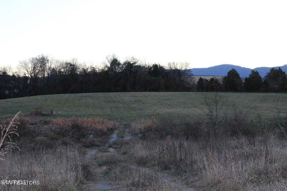 1517 Towe String Road Jacksboro, TN 37757 - Photo 3 of 4 patty 2