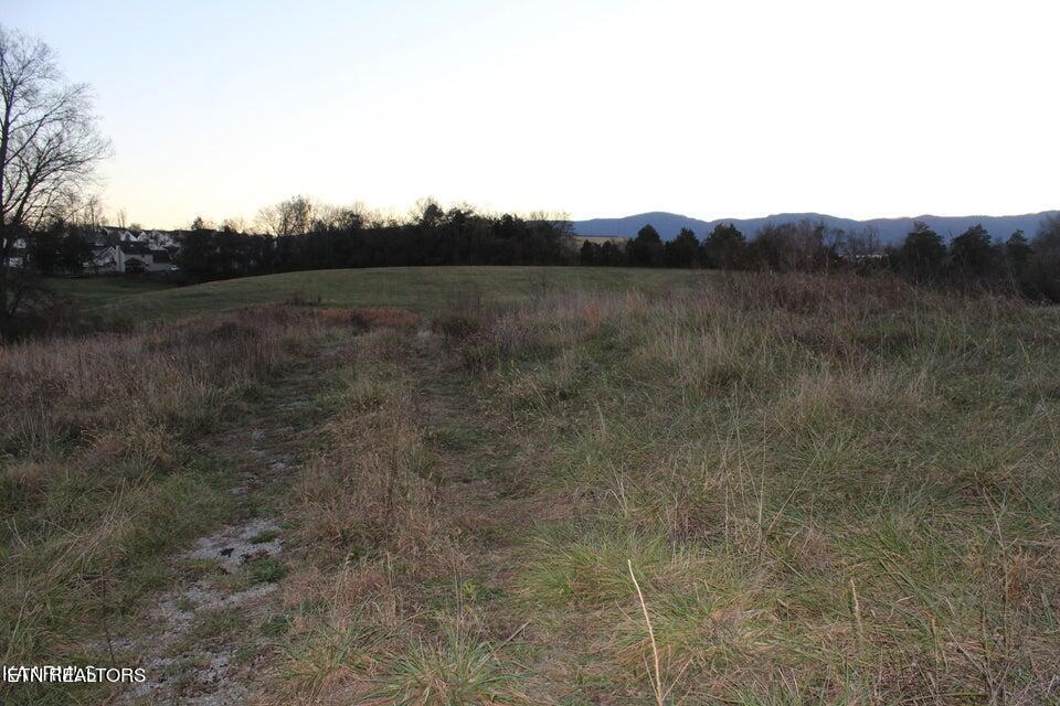 1517 Towe String Road Jacksboro, TN 37757 - Photo 4 of 4 patty 1