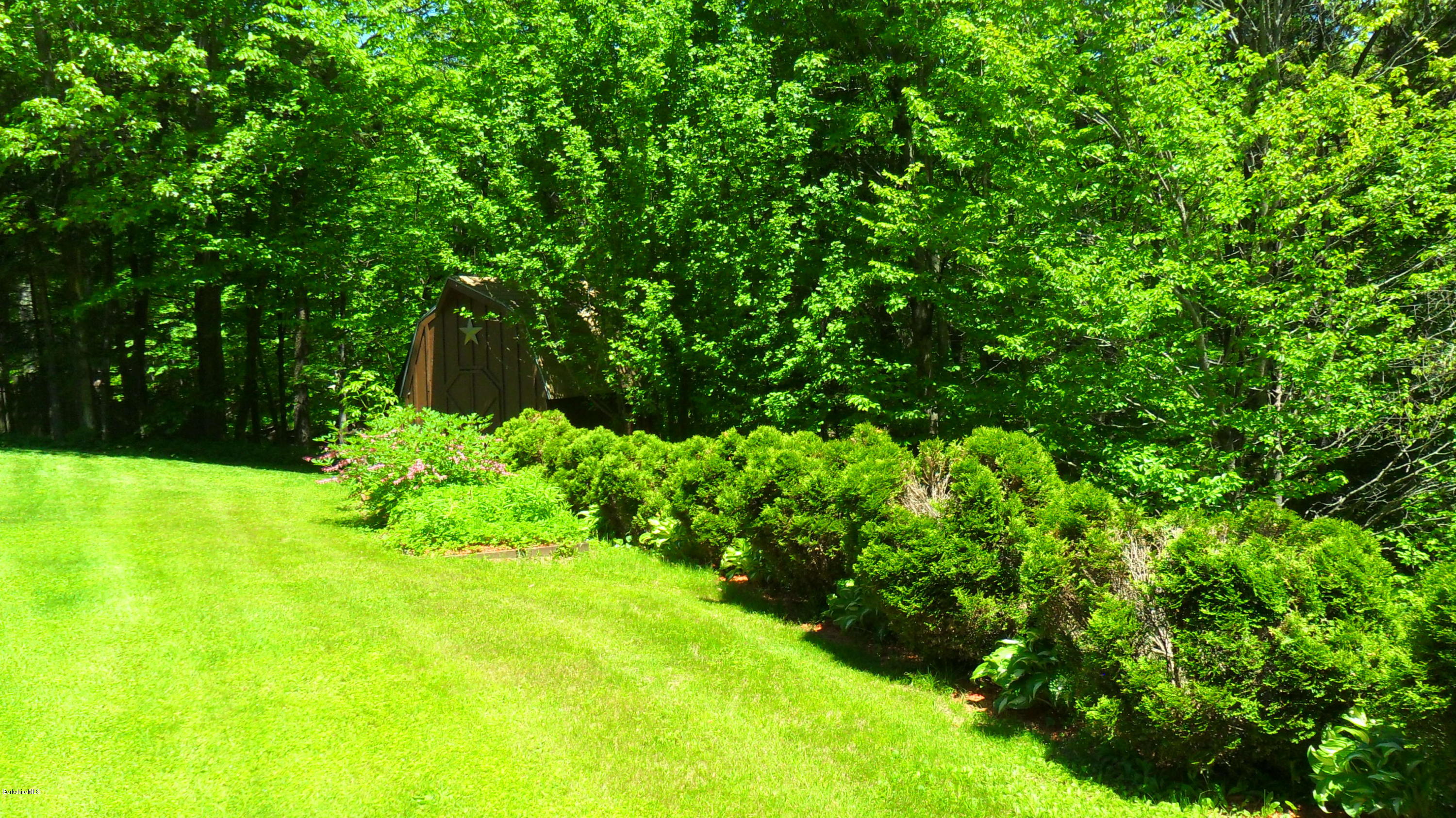 88 Moores Road Florida, MA 01343 - Photo 19 of 53 a view of a garden with plants