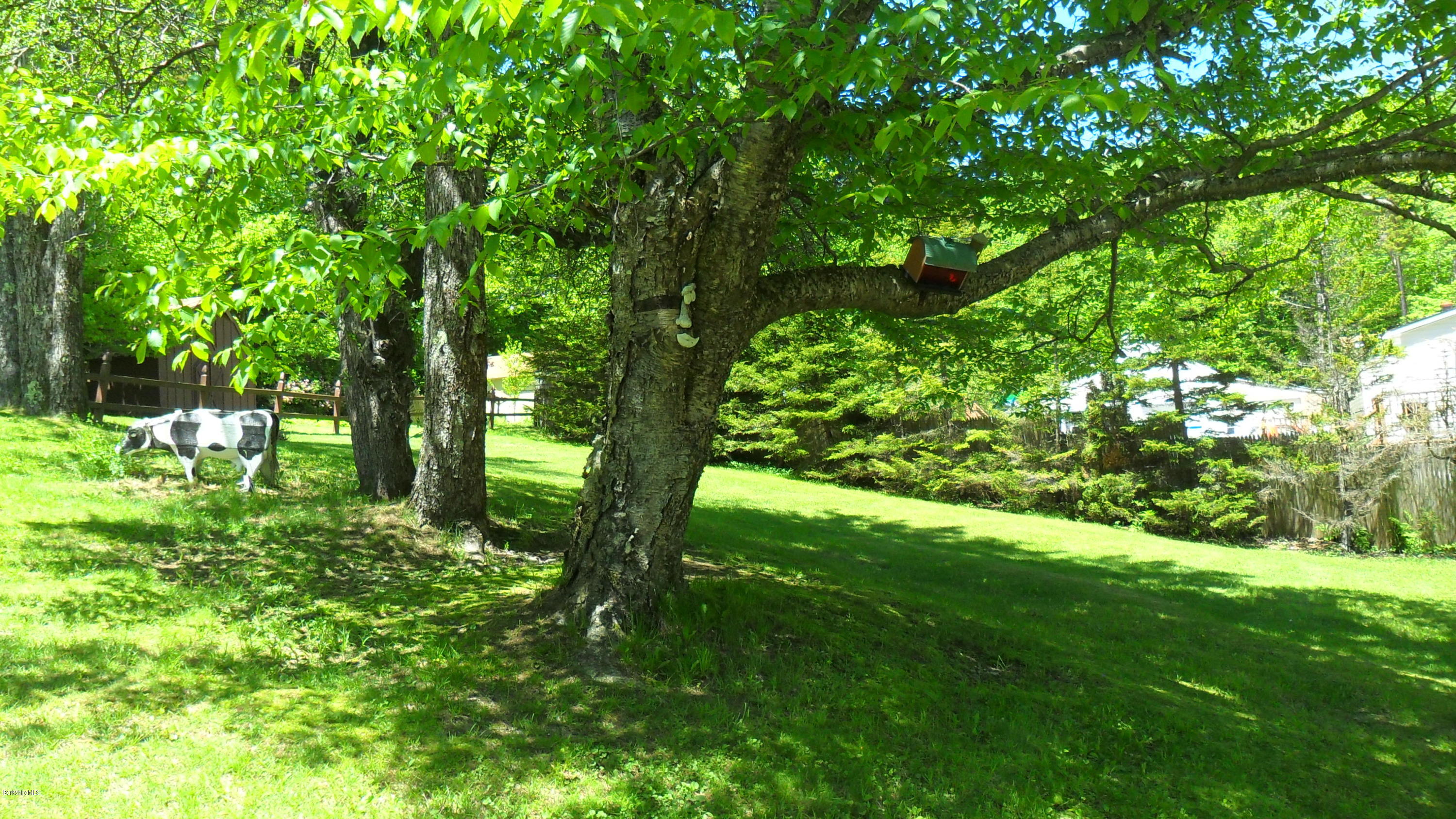 88 Moores Road Florida, MA 01343 - Photo 20 of 53 a view of yard with green space
