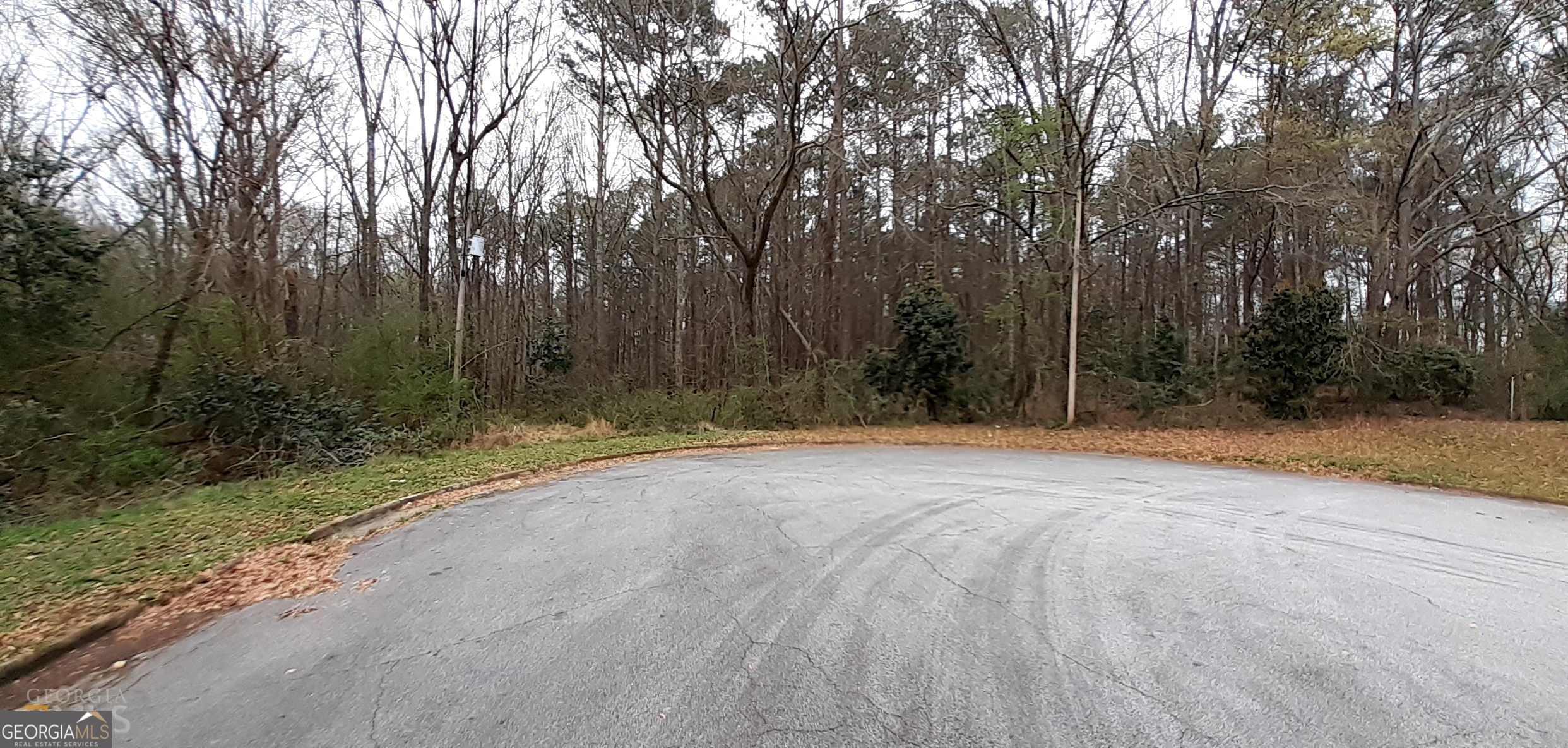 100 Lovelace Street Newnan, GA 30263 - Photo 2 of 4 a view of a backyard