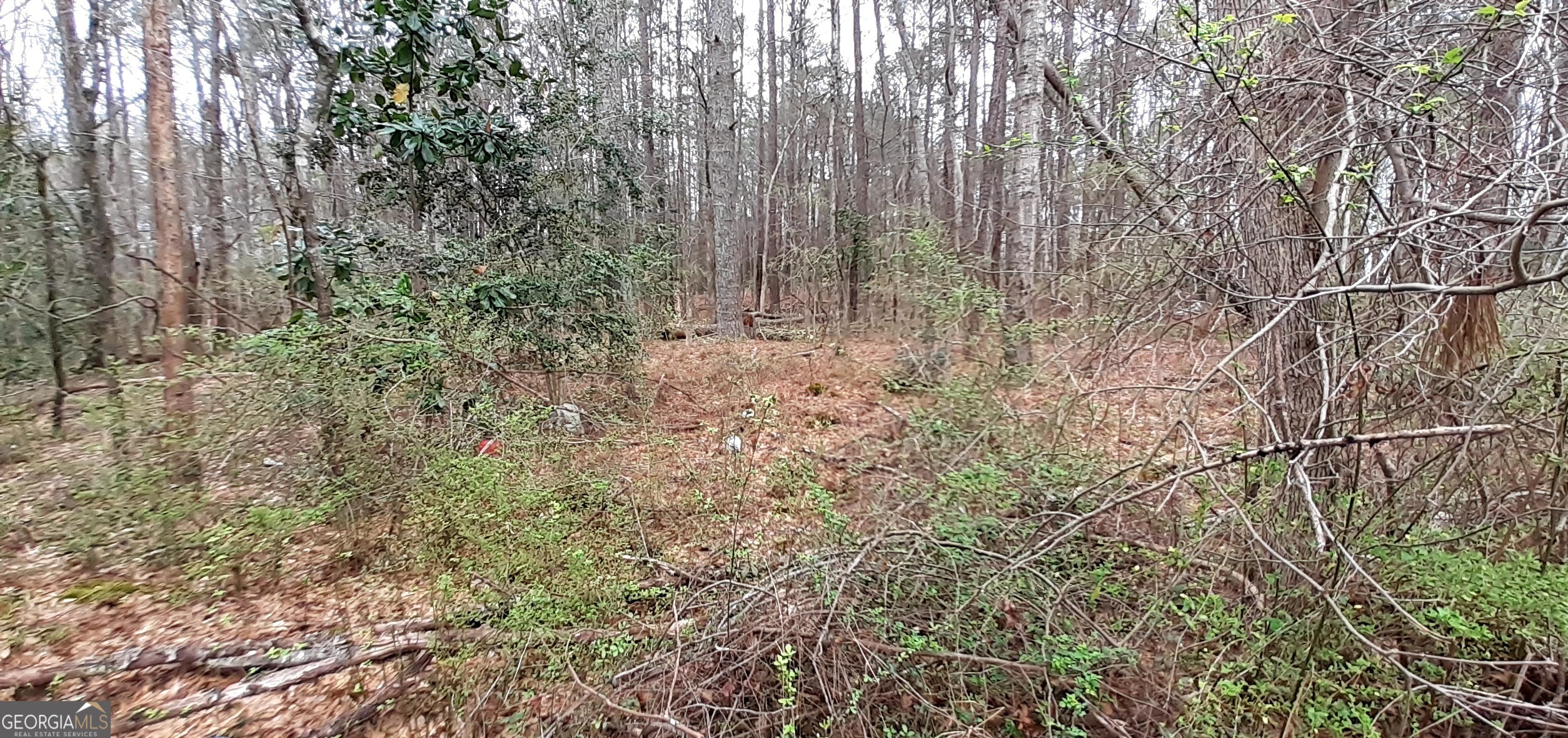 100 Lovelace Street Newnan, GA 30263 - Photo 3 of 4 a view of a yard with a tree