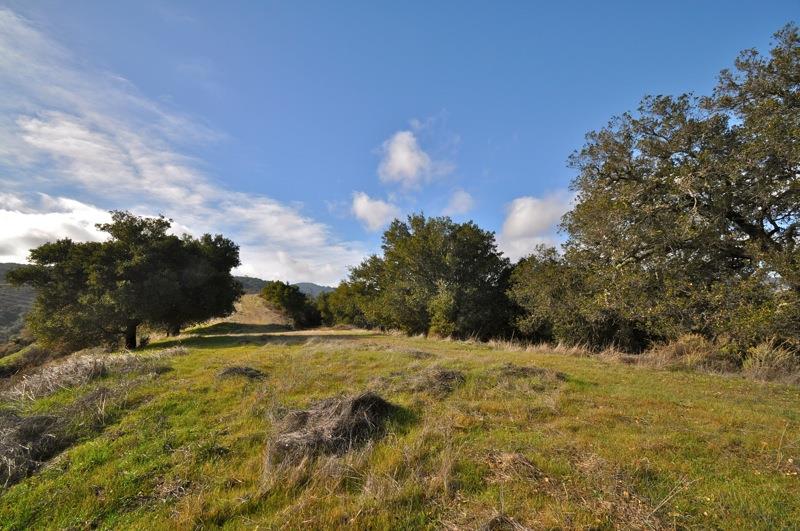 0 Mt Eden Road Saratoga, CA 95070 - Photo 14 of 27