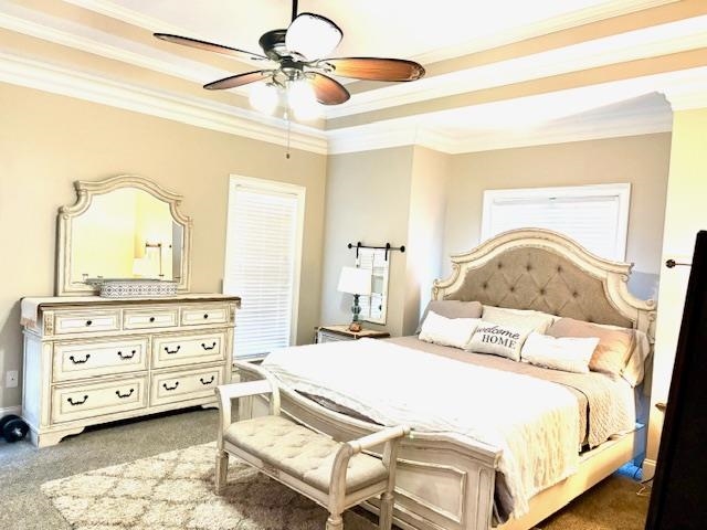 4310 Enoch Road Aynor, SC 29511 - Photo 16 of 39 Bedroom with a raised ceiling, ceiling fan, crown molding, and light carpet