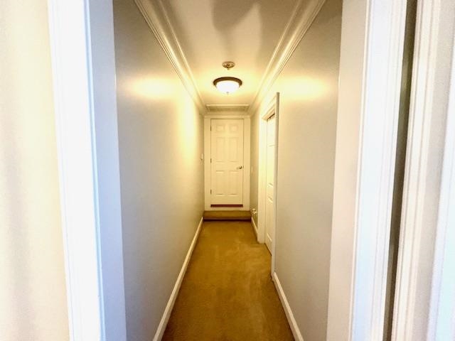 4310 Enoch Road Aynor, SC 29511 - Photo 27 of 39 Corridor featuring crown molding and dark colored carpet