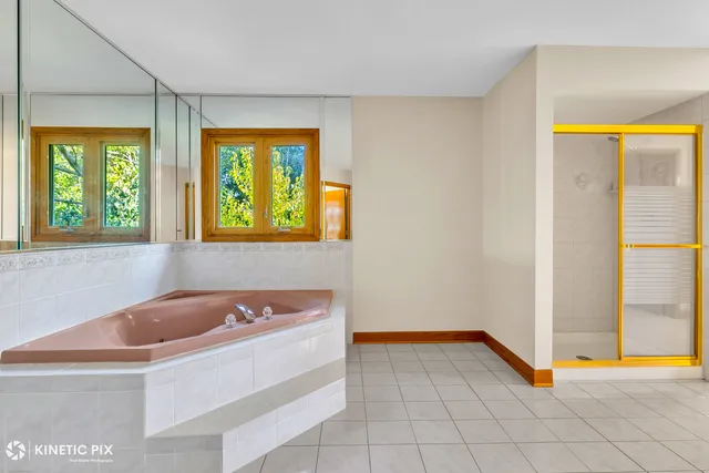 a bathroom with a tub a potted plant and a sink