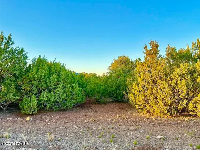 $67,000 | 50 Winchester (3151) Boulevard, Show Low, AZ 85901