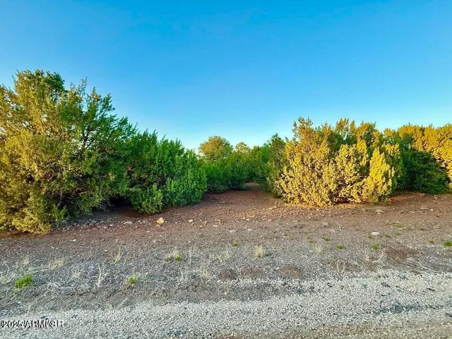 $67,000 | 50 Winchester (3151) Boulevard, Show Low, AZ 85901