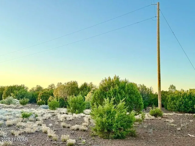 $67,000 | 50 Winchester (3151) Boulevard, Show Low, AZ 85901