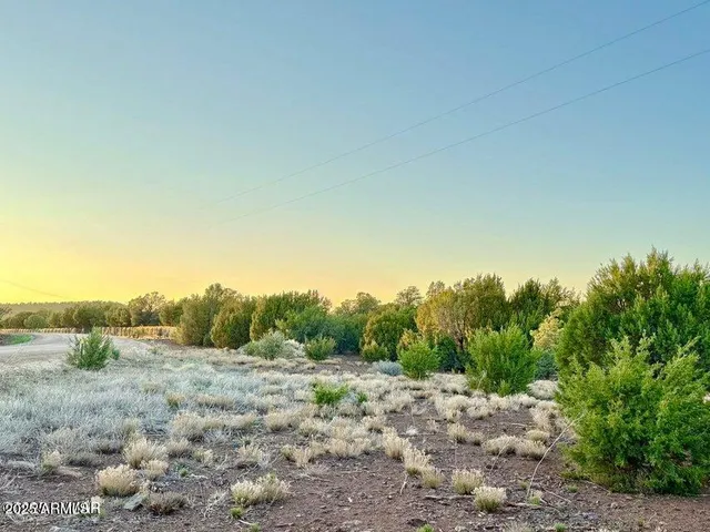 $67,000 | 50 Winchester (3151) Boulevard, Show Low, AZ 85901