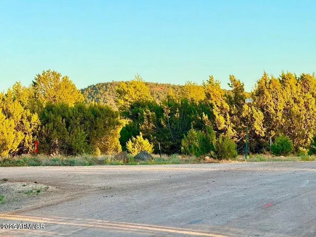 $67,000 | 50 Winchester (3151) Boulevard, Show Low, AZ 85901