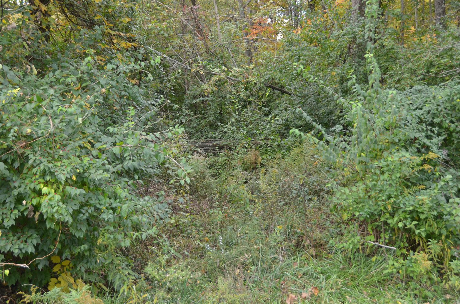 3381 Klette Road Latonia, KY 41015 - Photo 7 of 10 Gallery Image 7