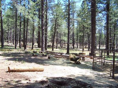 7312 East Robin Hood Road Williams, AZ 86046 - Photo 9 of 12 Additional Photo