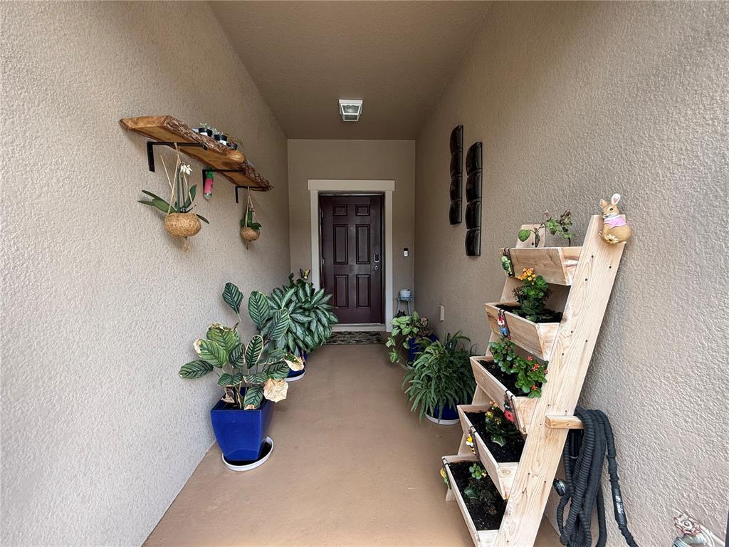 8523 Reedville Street New Port Richey, FL 34654 - Photo 2 of 21