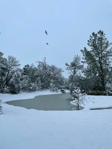 $310,000 | 13955 Dusty Oaks Trail, Bella Vista, CA 96008