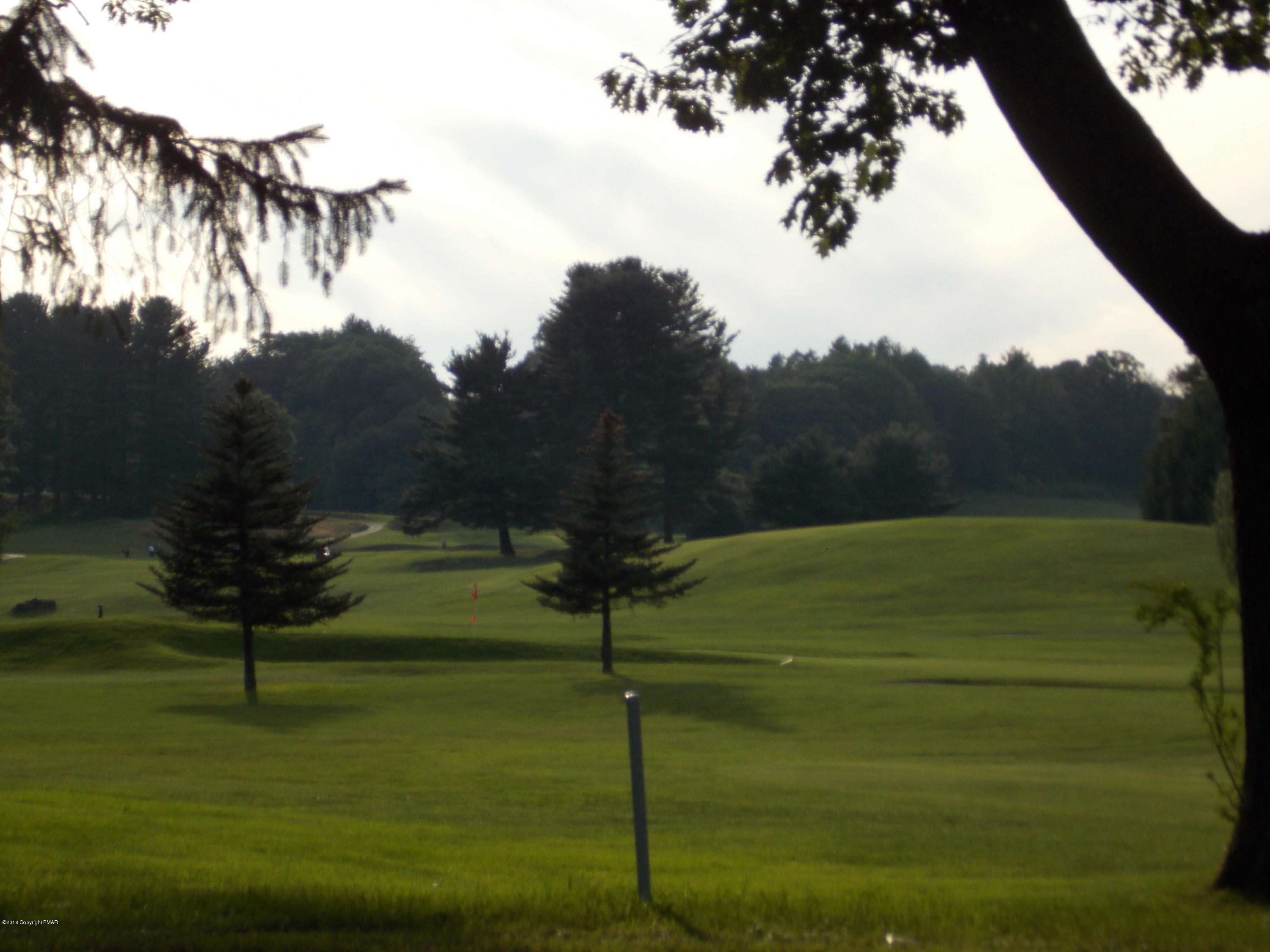 184 Oak Lane Cresco, PA 18326 - Photo 37 of 39 DSCN7671