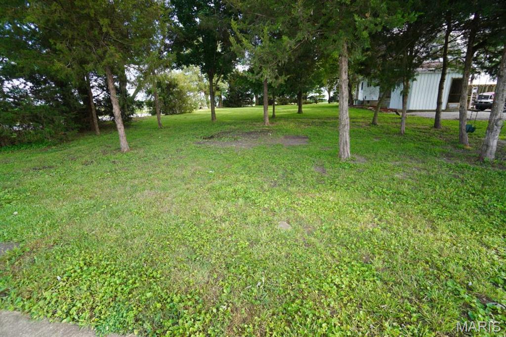 9965 Fruit Road Alhambra, IL 62001 - Photo 34 of 63