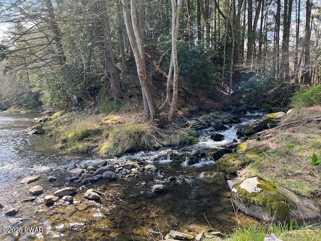 241 Lcpl Jacob Beisel Road Lackawaxen, PA 18435 - Photo 37 of 78 Water falls