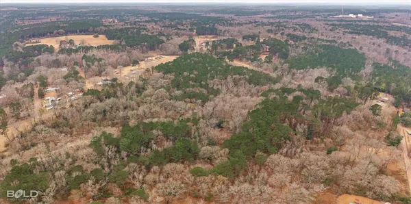 an aerial view of residential houses with outdoor space and trees