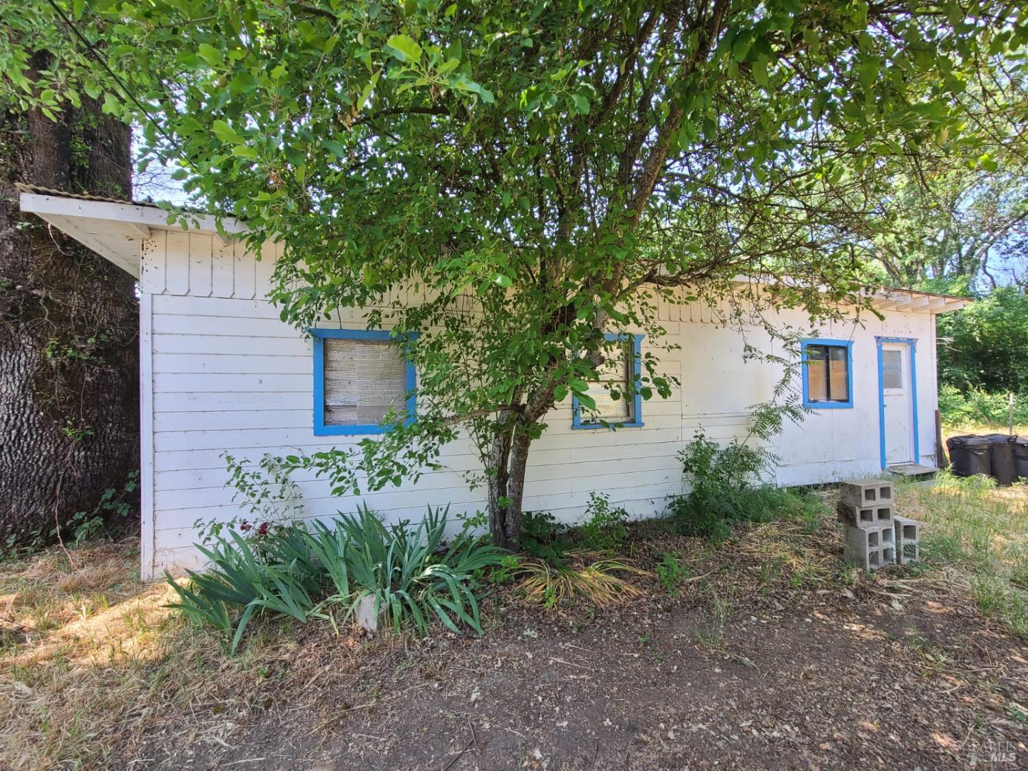 24450 Wattenburg Road Covelo, CA 95428 - Photo 6 of 11 a view of a house with a large tree