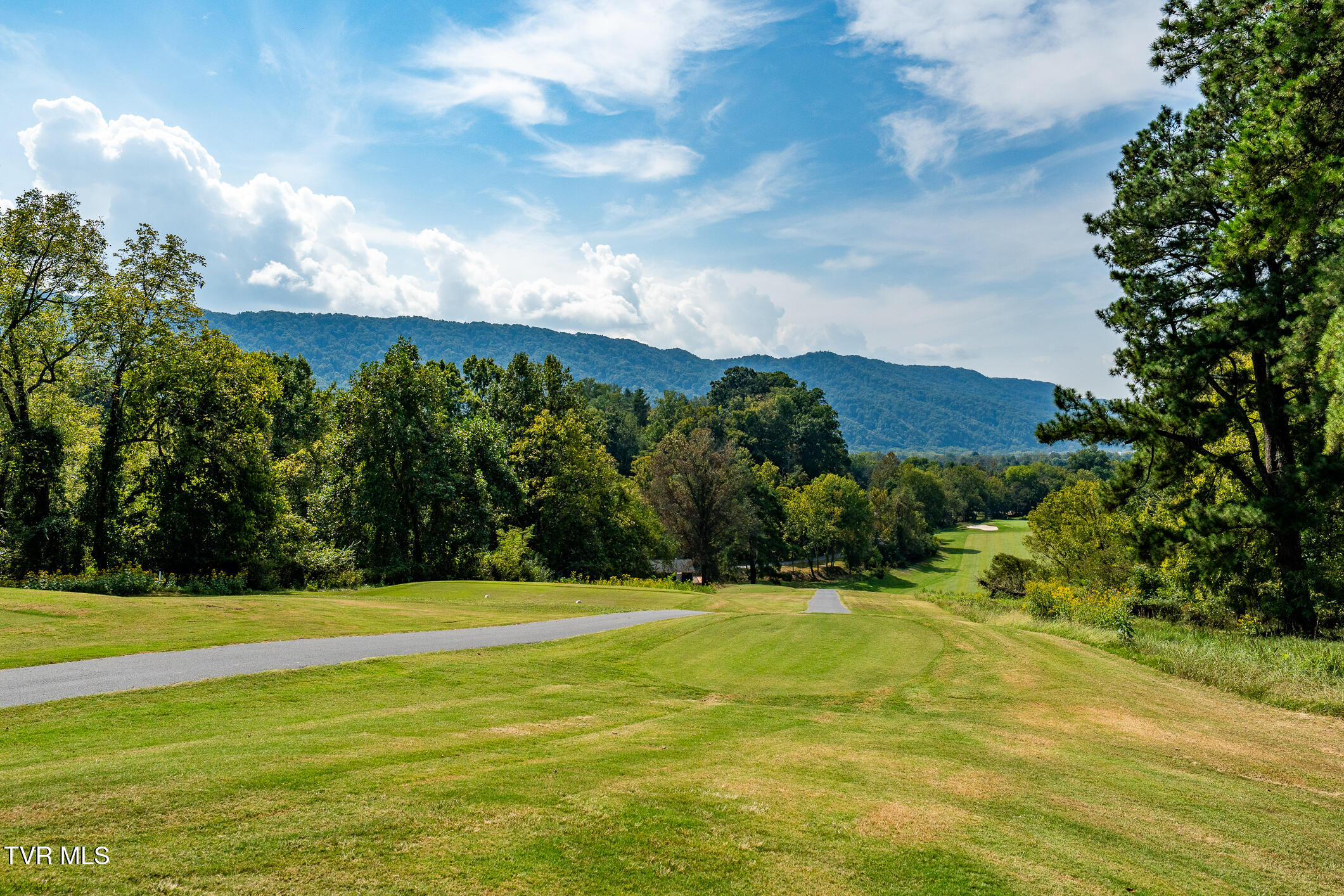 545 Forestdale Rd (21 of 72)