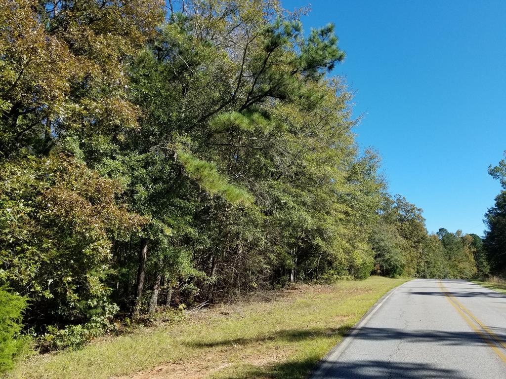 5.25 Hadley Road Pine Mountain, GA 31822 - Photo 11 of 11 Quiet street