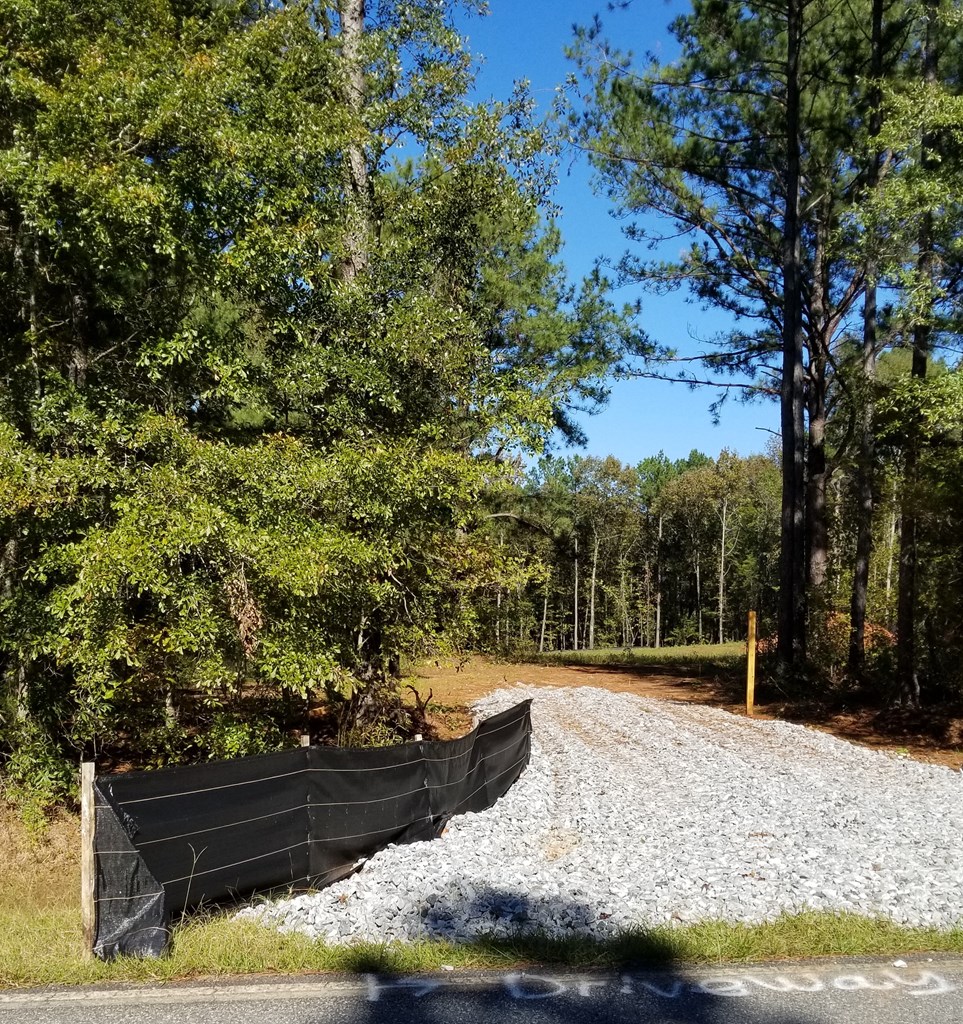 Culvert and Driveway