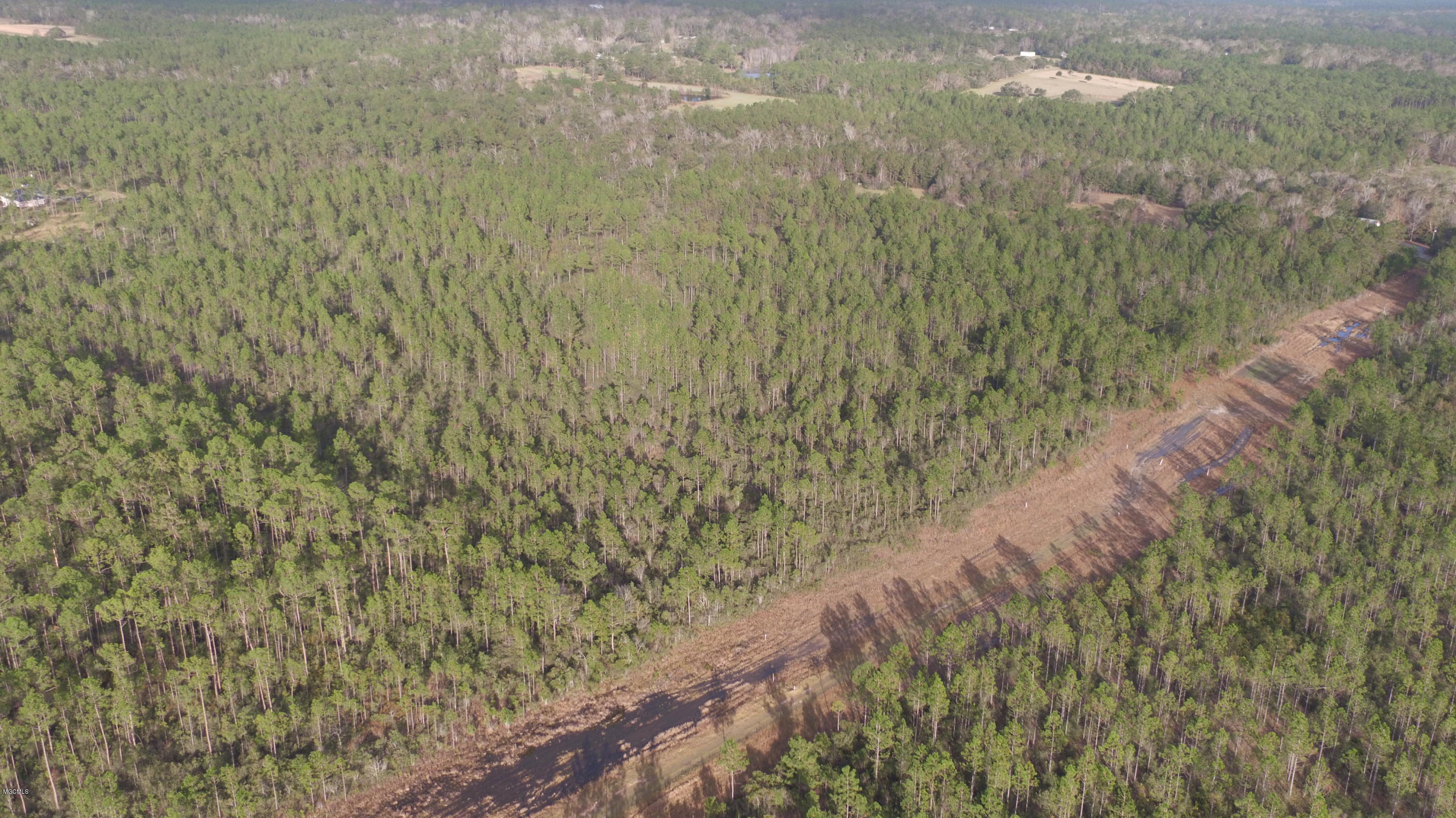 40-acres Runnymede Road Pass Christian, MS 39571 - Photo 2 of 4 DJI_0050