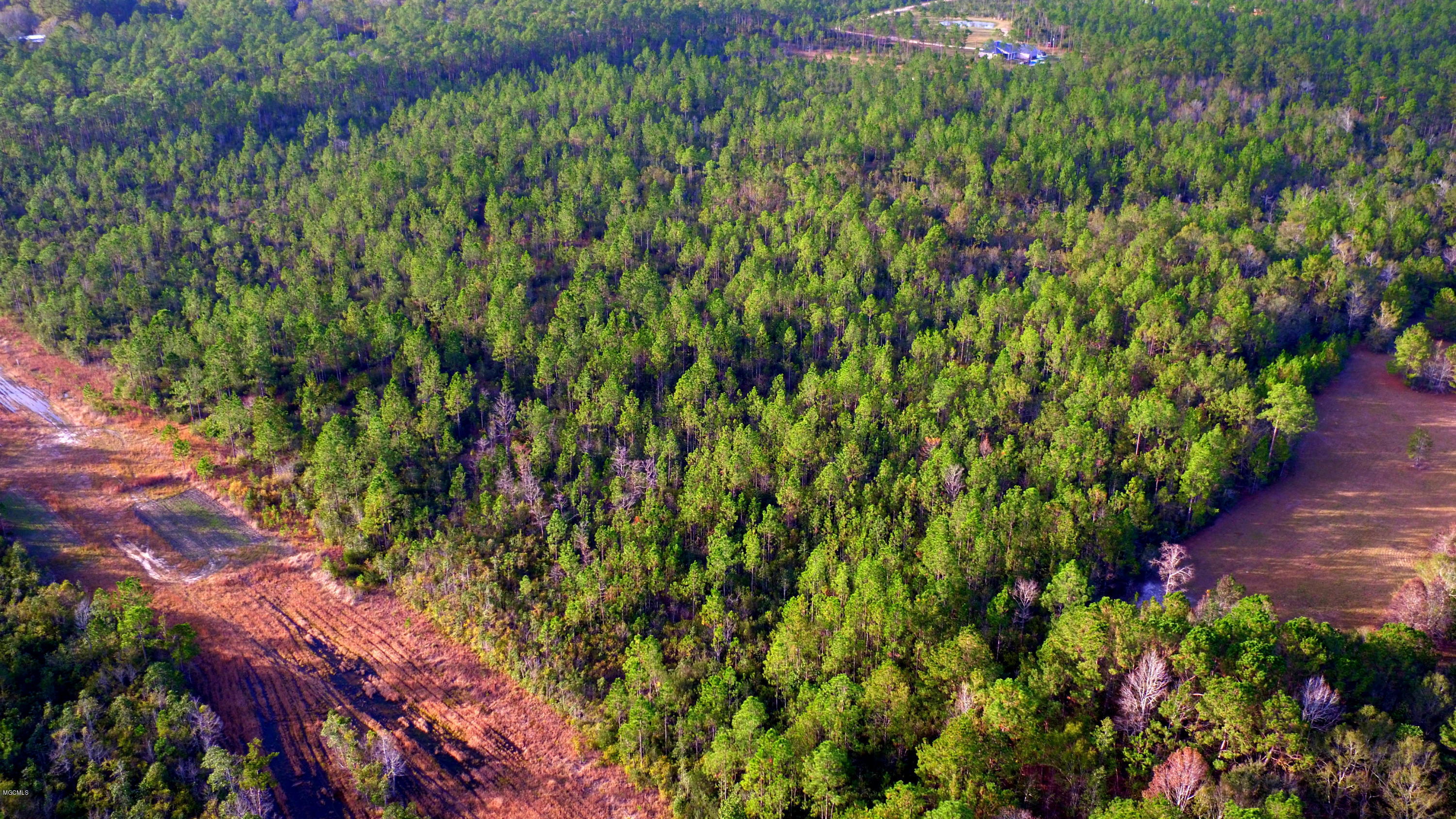 40-acres Runnymede Road Pass Christian, MS 39571 - Photo 3 of 4 DJI_0058
