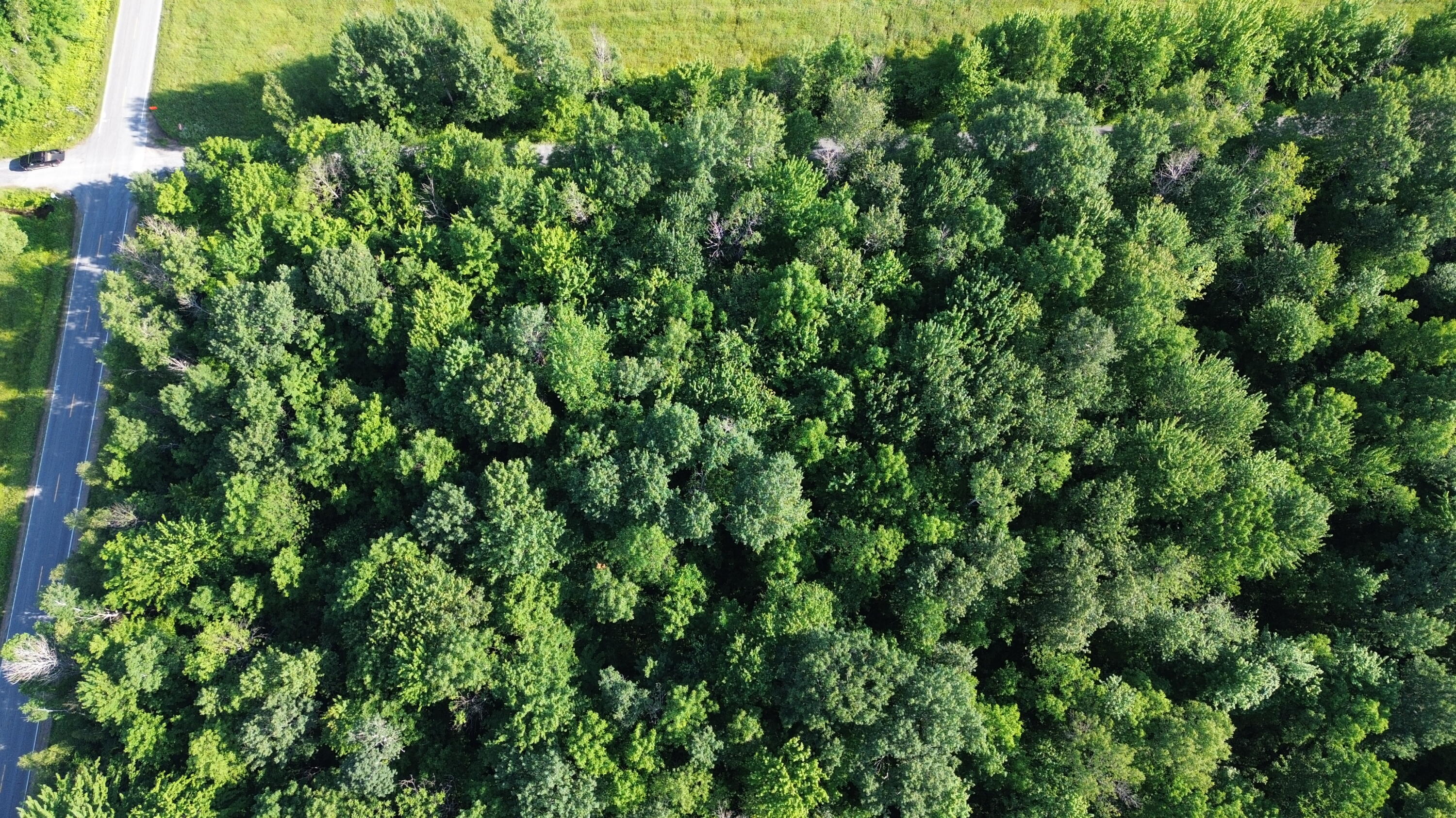 . Lost Nation Road Churubusco, NY 12923 - Photo 10 of 34 DJI_0470