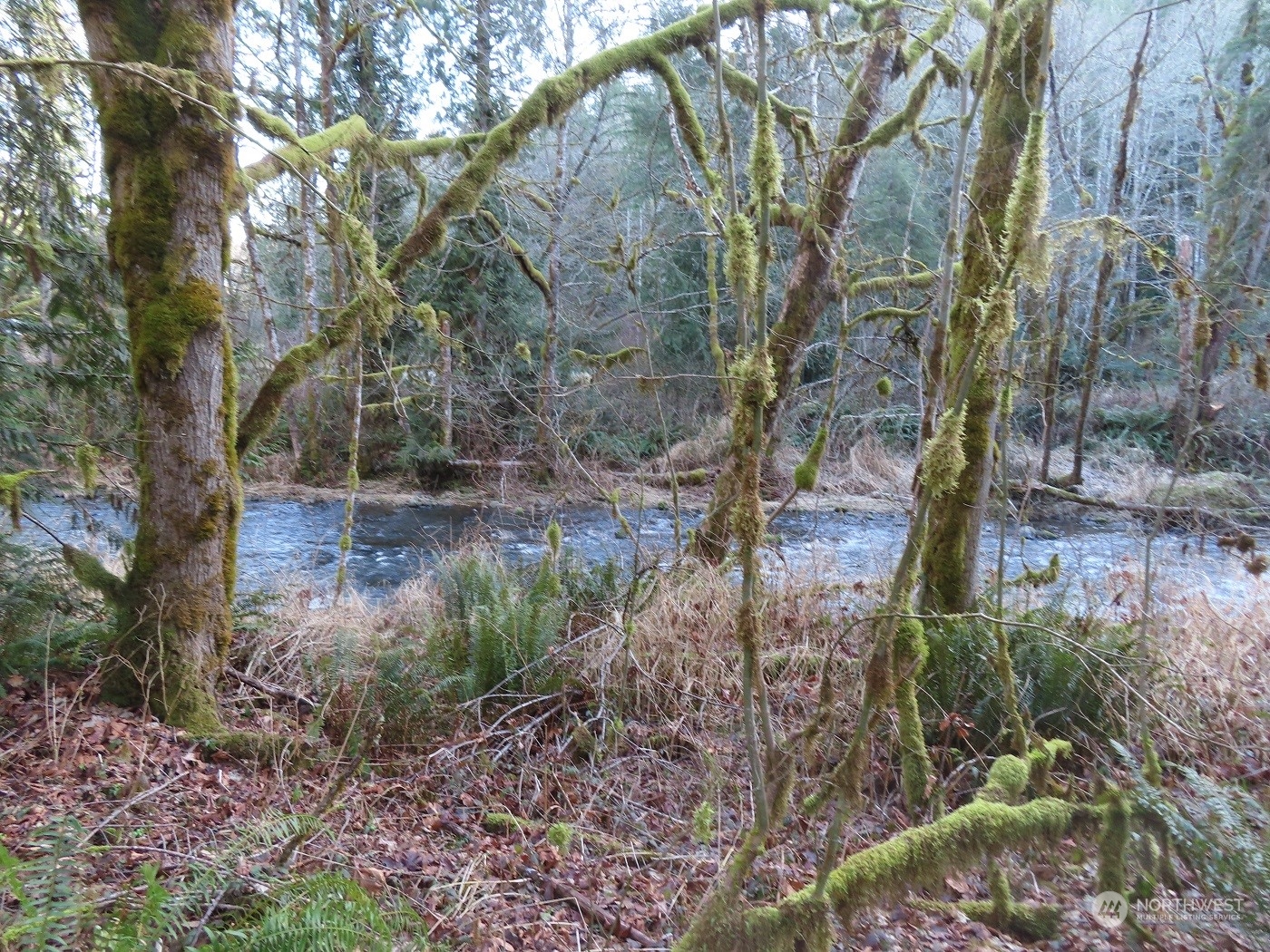 5 Winston Creek Road Mossyrock, WA 98564 - Photo 14 of 30 Gallery Image 14