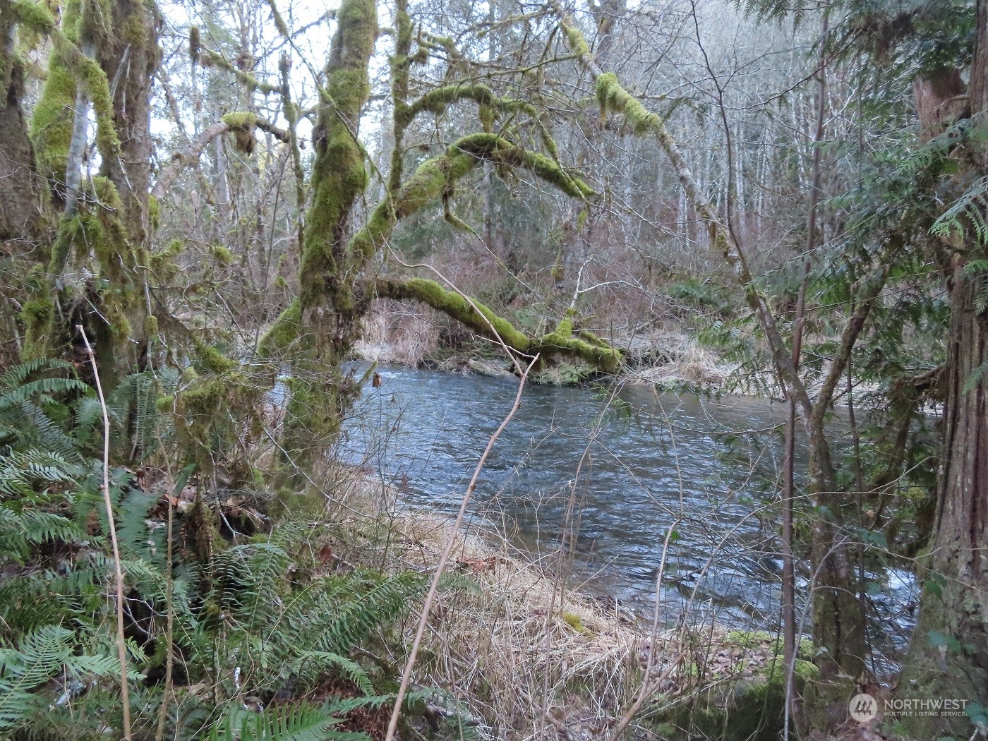 5 Winston Creek Road Mossyrock, WA 98564 - Photo 16 of 30 Gallery Image 16