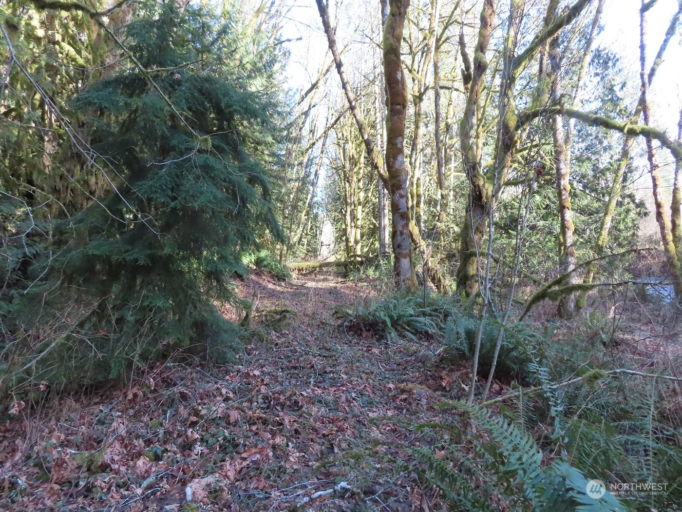 5 Winston Creek Road Mossyrock, WA 98564 - Photo 17 of 30 Gallery Image 17