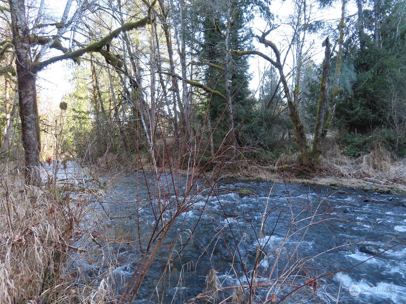 5 Winston Creek Road Mossyrock, WA 98564 - Photo 20 of 30 Gallery Image 20