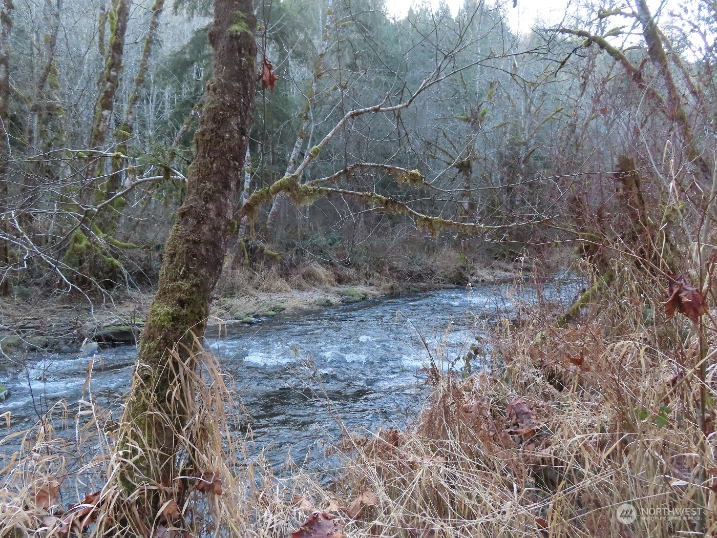5 Winston Creek Road Mossyrock, WA 98564 - Photo 22 of 30 Gallery Image 22