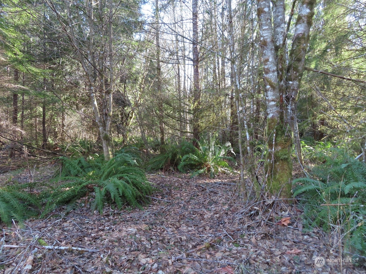 5 Winston Creek Road Mossyrock, WA 98564 - Photo 23 of 30 Gallery Image 23