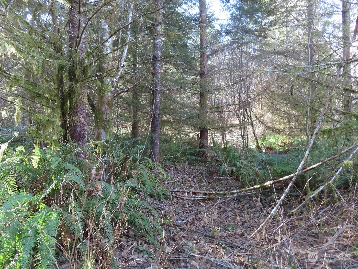 5 Winston Creek Road Mossyrock, WA 98564 - Photo 24 of 30 Gallery Image 24