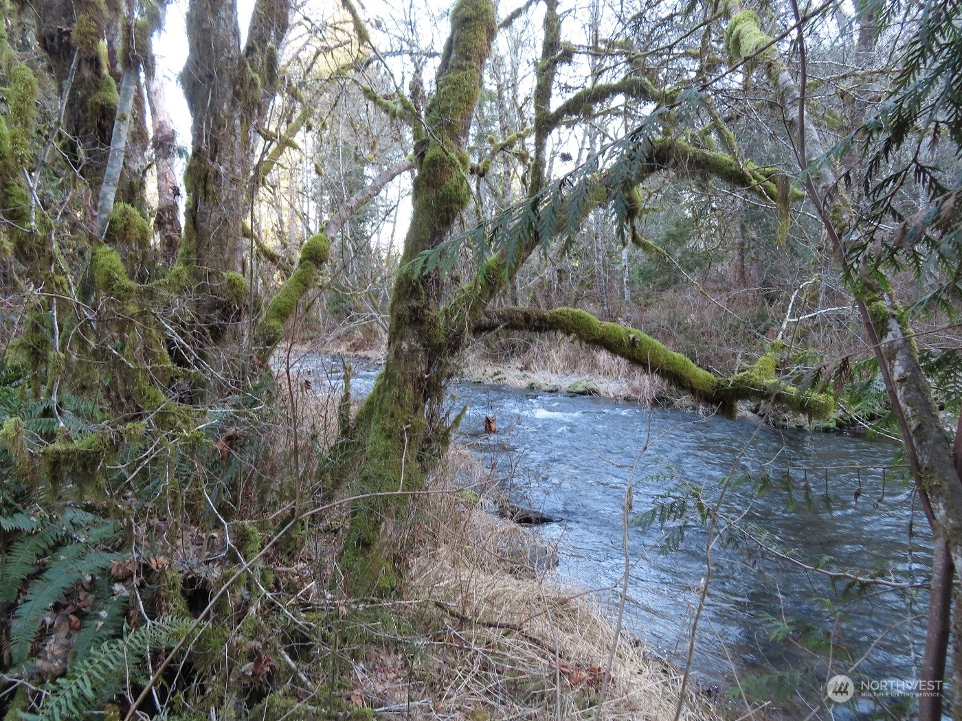 5 Winston Creek Road Mossyrock, WA 98564 - Photo 25 of 30 Gallery Image 25