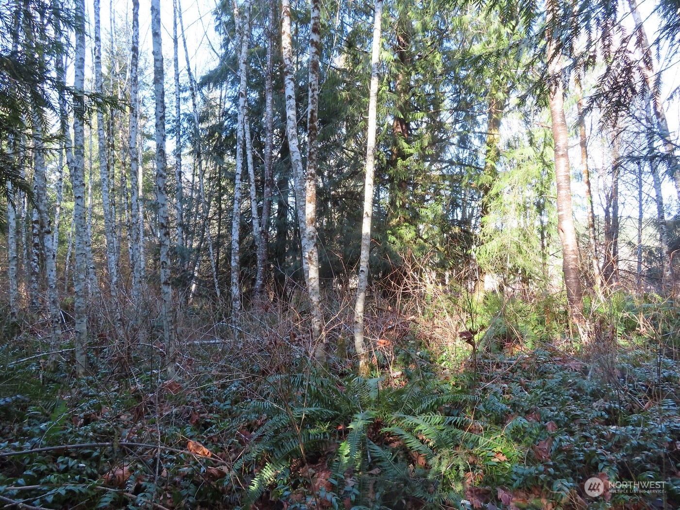 5 Winston Creek Road Mossyrock, WA 98564 - Photo 28 of 30 Gallery Image 28