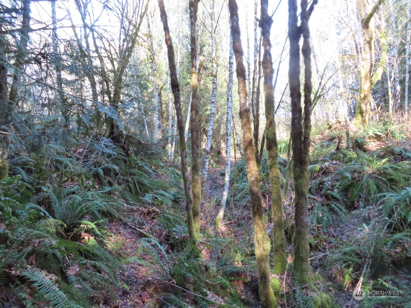 5 Winston Creek Road Mossyrock, WA 98564 - Photo 29 of 30 Gallery Image 29