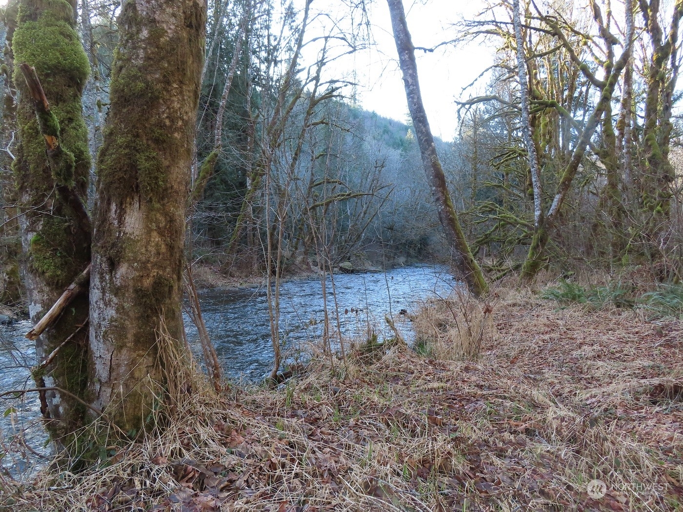 5 Winston Creek Road Mossyrock, WA 98564 - Photo 9 of 30 Gallery Image 9