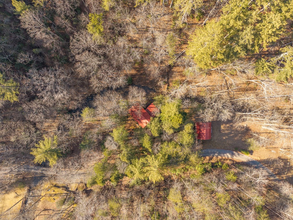 5411 Turniptown Road Ellijay, GA 30536 - Photo 22 of 51 Gallery Image 22